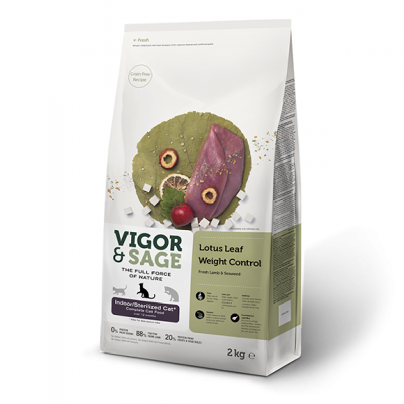gewicht verlies voeding, kattenvoer, uitgebalanceerde kattenvoeding, kat, caloriearm